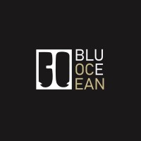 Blue Ocean vzw logo - Similar company to Curls & Fro'S