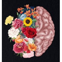 Space Health logo - Similar company to Space Health Organization (Sho)