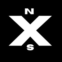 Nexus Interactive logo - Similar company to Dataskill