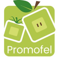 PROMOFEL logo - Similar company to Boyer Sas