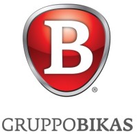 BikasGroup logo - Similar company to Chiuch Sprl