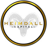 Heimdall Capital UG logo - Similar company to Digiensure