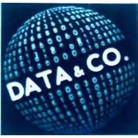 DATA & CO. SRL logo - Similar company to Data & Co