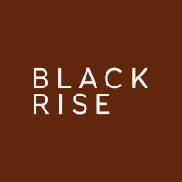 BLACK RISE logo - Similar company to Black In Procurement