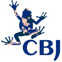 CBJ Consulting logo - Similar company to Xiamen Uptrend Import & Export Co., Ltd.