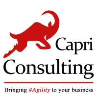 Capri Consulting Ltd. logo - Similar company to Vuepoint Solutions