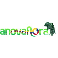 Anovaflora Exotics