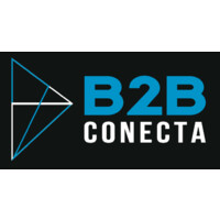B2B Conecta BR logo - Similar company to Infostard Tech Services Ltd