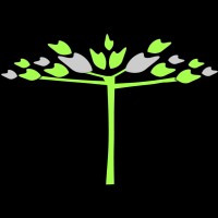 STW Carbon logo - Similar company to Vert Ecotech Sa