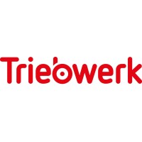 Verein Triebwerk - Das Netzwerk zur Berufswahl logo - Similar company to Nextvision Group