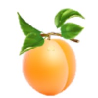 Apricot Software Pty Ltd logo - Similar company to Appricot.Io