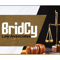 Bridcy Law Associates logo - Similar company to Law.Ng