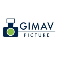 GIMAV Picture logo - Similar company to Selider Querétaro