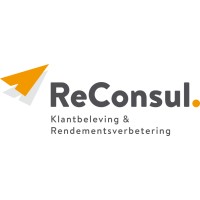 ReConsul Business Services logo - Similar company to Rab Groep
