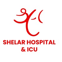 Shelar Hospital & ICU logo - Similar company to Panacea Hospital