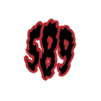 Project 589 logo - Similar company to Stringer