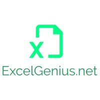 Excel Genius logo - Similar company to Social Detection, Inc