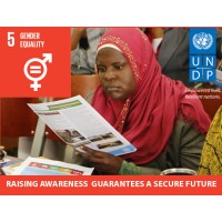UNDP Tanzania logo - Similar company to Future Ready Summit