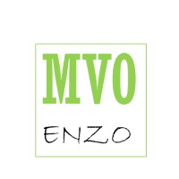 MVO-enzo logo - Similar company to Esg Mkb