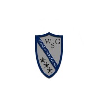 World Security Group logo - Similar company to World Security Alliance