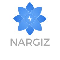 Nargiz electric logo - Similar company to Qulap