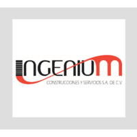 Ingenium Construcciones y Servicios SA de CV logo - Similar company to Ingenium Analytics