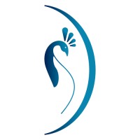 Peacock Design Co logo - Similar company to Peacock Design Solutions