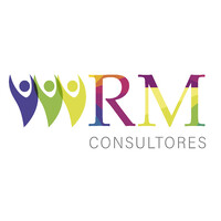 Rm Consultores