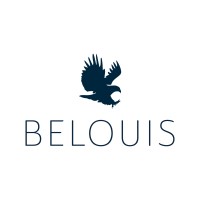 Belouis Investment Group logo - Similar company to Ehomecare