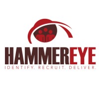 HAMMEREYE logo - Similar company to Qvntra