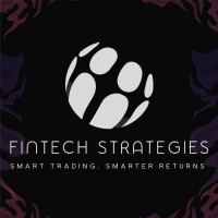 FINTECH STRATEGIES logo - Similar company to The Fintech Strategy Group
