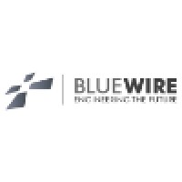 Bluewire Computer Services Inc.