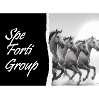 Spe Forti Group [SFG] logo - Similar company to Scian Solutions