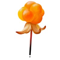 Cloudberry Connections logo - Similar company to Tech Workz Media Group
