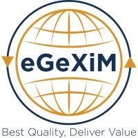 e GeXiM LLC logo - Similar company to E-Idea Consultancy Services