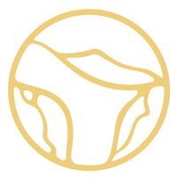 ConnectingSouls logo - Similar company to Future Project