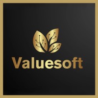ValueSoft logo - Similar company to Valuesoft Info Services