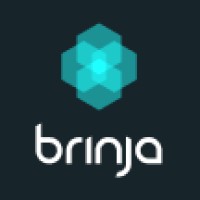 Brinja UK Ltd logo - Similar company to Boss Site Security