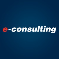 E-Consulting
