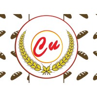 Sauri Llc