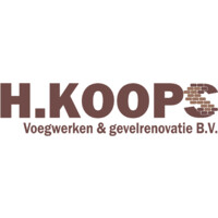 H. Koops Voegwerken & Gevelrenovatie B.V. logo - Similar company to Ibs Afbouw