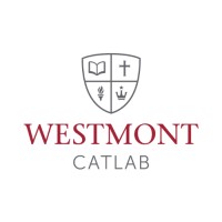 CATLab logo - Similar company to Elevateactual