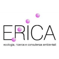Erica ambiente e sicurezza logo - Similar company to Erica Srl