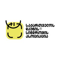 Georgian Down Syndrome Association logo - Similar company to Intercom Київ