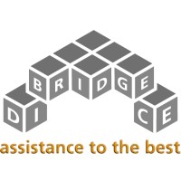 Dicebridge Training GmbH logo - Similar company to Code Raccoons