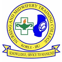 Nursing and Midwifery Training College, Korle Bu logo - Similar company to Global Shapers Damanhour Hub
