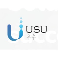 USU-International logo - Similar company to Subvenis