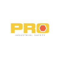 PRO Industrial logo - Similar company to Surewerx Technical Services