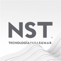 NST logo - Similar company to Procomp Express