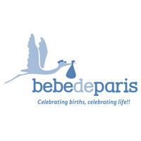 BebedeParis South Africa logo - Similar company to Ip Soft Distribution